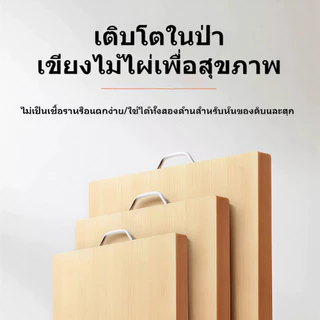 [เขียงไม้ไผ่] เขียงสองด้าน ป้องกันเชื้อรา เขียงสำหรับใช้ในครัวเรือน ครัว เขียงไม้ไผ่สำหรับวางผลไม้