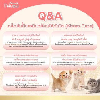 Pawdy อาหารแมวเกรดพรีเมียม Holistic สำหรับลูกแมว หลังหย่านม - 1 ปี สูตรทูน่าพลัสนมแพะ ขนาด 750 กรัม
