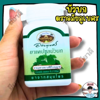 ขมิ้นชัน บัวบก รางจืด เพชรสังฆาต ตราอภัยภูเบศร ยาสามัญประจำบ้าน