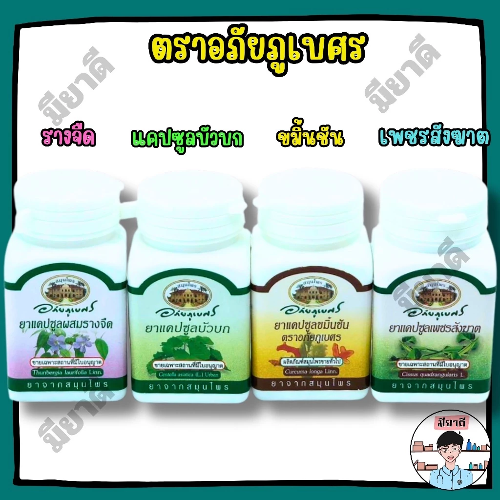 ขมิ้นชัน บัวบก รางจืด เพชรสังฆาต ตราอภัยภูเบศร ยาสามัญประจำบ้าน