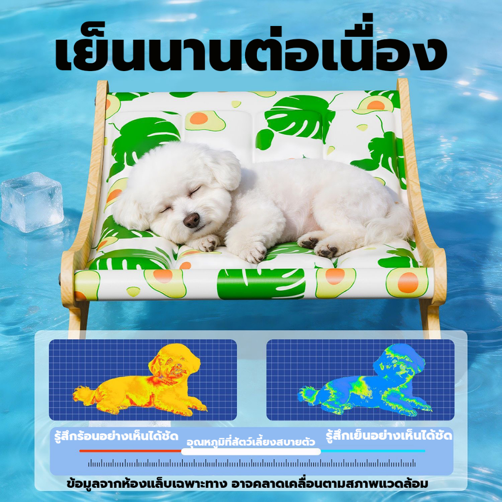 Pet Cool Bed  แผ่นรองนอนสัตว์เลี้ยง สุนัข ที่นอนเจลเย็น เบาะเย็นแมว แผ่นเย็นแมว เย็นสบาย นุ่มนวล สบายตัว ระบายอากาศดี ราคา ถูกที่สุด ดีลบีเคเค แกลเลอรีภาพที่ 5