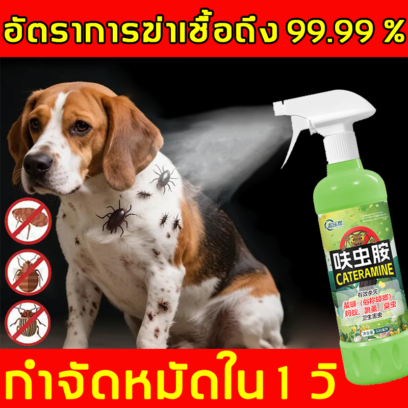 ⚡ออกฤทธิ์เร็ว⚡ สเปรย์กำจัดเห็บหมัด ผลิตภัณฑ์กำจัดหมัด ช่วยลดจำนวนหมัด ออกฤทธิ์เร็ว ใช้งานง่าย เหมาะสำหรับใช้ในบ้าน