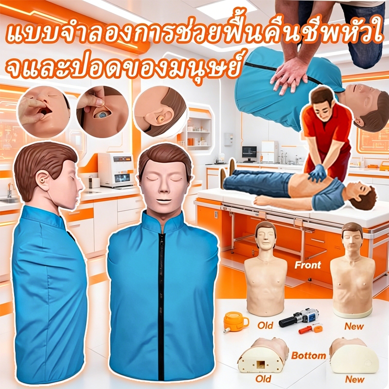 หุ่น cpr ผู้ใหญ่ หุ่น cpr  หุ่นมีไฟแสดงผล หุ่นปั๊มหัวใจ การฝึก CPR หุ่นฝึกจำลองการช่วยฟื้นคืนชีพผู้ใ