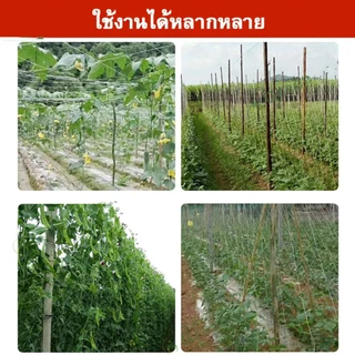 ตาข่ายผักบุญ 100 เมตร ตาข่ายพลาสติกสำหรับเลื้อย ตาข่ายกันนก ใช้ทำซุ้มแตงกวา มะระ ถั่วฝักยาว ปลูกผักสวนครัว