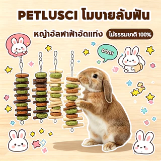 โมบายคุ้กกี้ทิโมธี ของเล่นกระต่าย คุ้กกี้หญ้า ลับฟัน หมดปัญหาฟันยาว สำหรับสัตว์ฟันแทะ กระต่าย แกสบี้