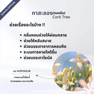 (ของแท้-พร้อมส่ง) Sukaya น้ำมันนวด <12ml 8+3ml 8 ฟรี ไม้นวด> คลายเส้น นวดอโรมา สมุนไพร รีดเส้น ไมเกรน นอนหลับสนิท