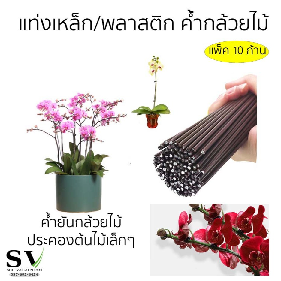 แท่งเหล็ก/พลาสติก ค้ำ ประคองกล้วยไม้ ต้นไม้  แพ็ค 10 ก้าน ก้านเหล็กดัดโค้งสำหรับค้ำกิ่ง จัดทรงกิ่ง กล้วยไม้ ต้นไม้
