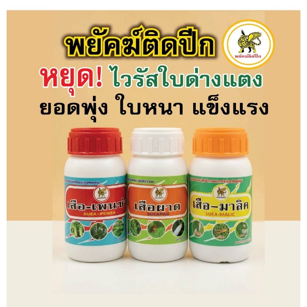 พยัคฆ์ติดปีก เสือเพนซ่า+เสือผาด+เสือมาลิค ชุดดูแลแปลงแตง ป้องกันโรคและแมลงศัตรูพืช