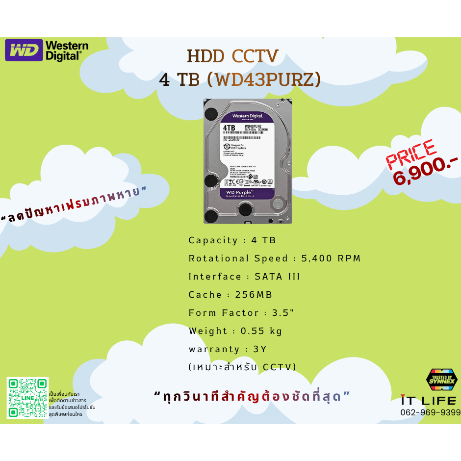 HDD CCTV 4 TB (WD43PURZ)