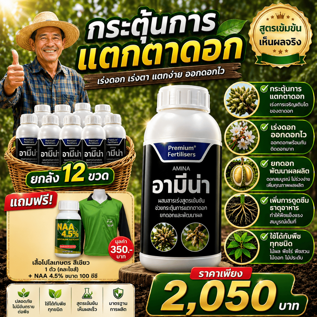 เปิดตาดอก (อามีน่ายกลัง12ขวดแถมเสื้อ+NAA) สาหร่ายดำ ชนิดอะมิโน มีแมกนีเซียมและสังกะสี ขวด1ลิตร 1,770
