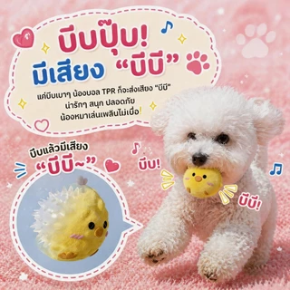 ของเล่นสุนัข ลูกบอลเด้งดึ๋ง ของเล่นสุนัขมีเสียง แบบการ์ตูนผ้ากำมะหยี่ สำหรับโต้ตอบและขัดฟัน ของเล่นสุนัขแก้เหงา