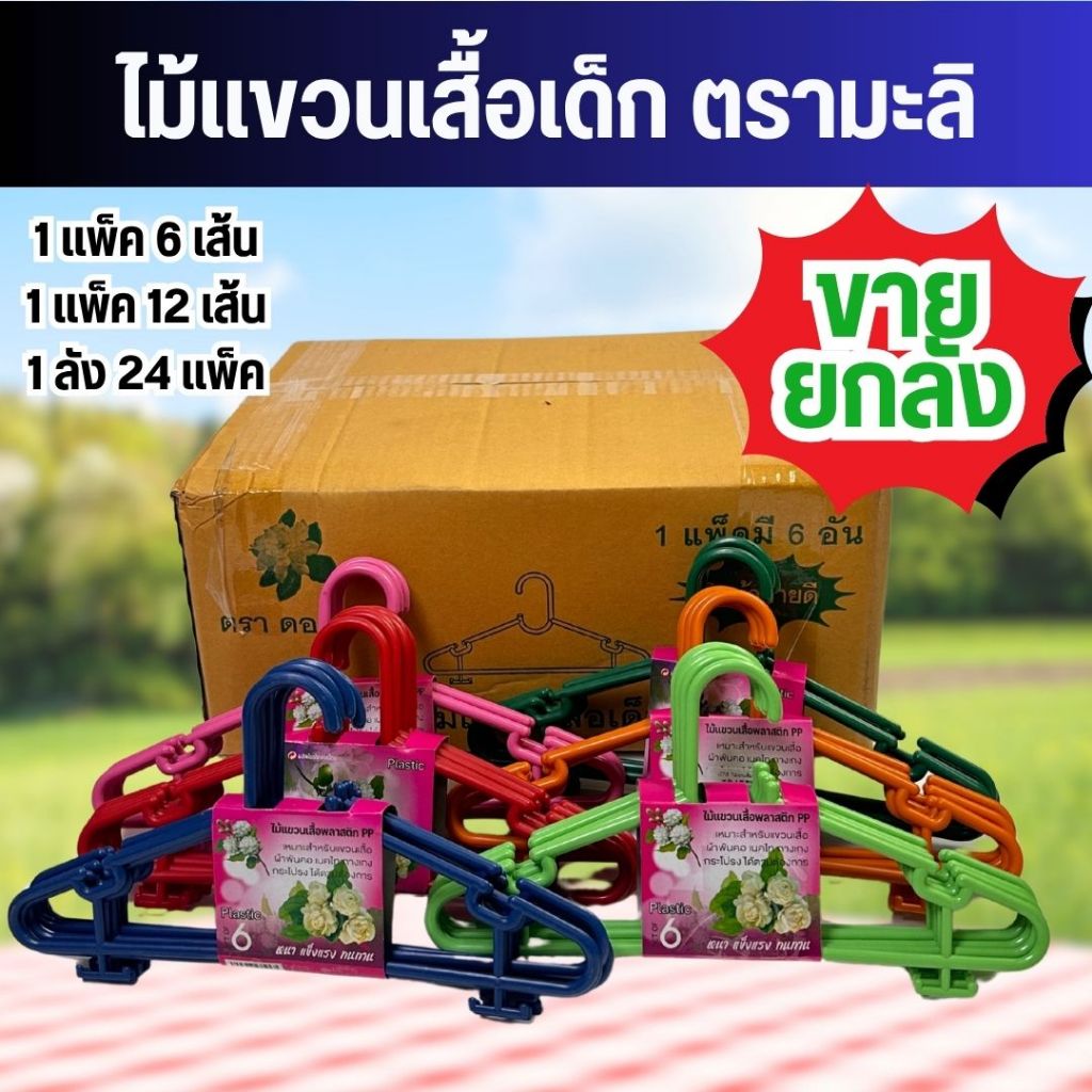 ไม้แขวนเสื้อเด็ก 144 ชิ้น/ลัง คละสีในลัง