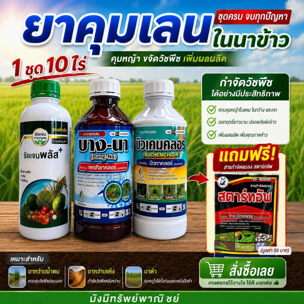 ชุดมั่งมีคุมเลนพลัส 1ชุด 10 ไร่ แถมฟรี!ยาเพลี้ย คุมหญ้าได้อยู่หมัด ข้าวไม่แดง ข้าวไม่งัน พร้อมบำรุง นาหว่านน้ำตม นาดำ