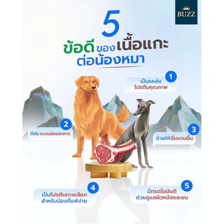 Buzz Natural Care Holistic Recipe ❤️🐶 บัซซ์ สูตรเนื้อแกะ โฮลิสติก เกรดพรีเมี่ยมสำหรับสุนัขบรรจุ 1.2kg, 3kg