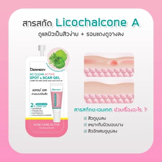 DERMEDY AC CLEAR ACTIVE SPOT & SCAR GEL เดอร์มีดี เอซี เคลียร์ แอคทิฟ สปอต แอนด์ สการ์ เจล