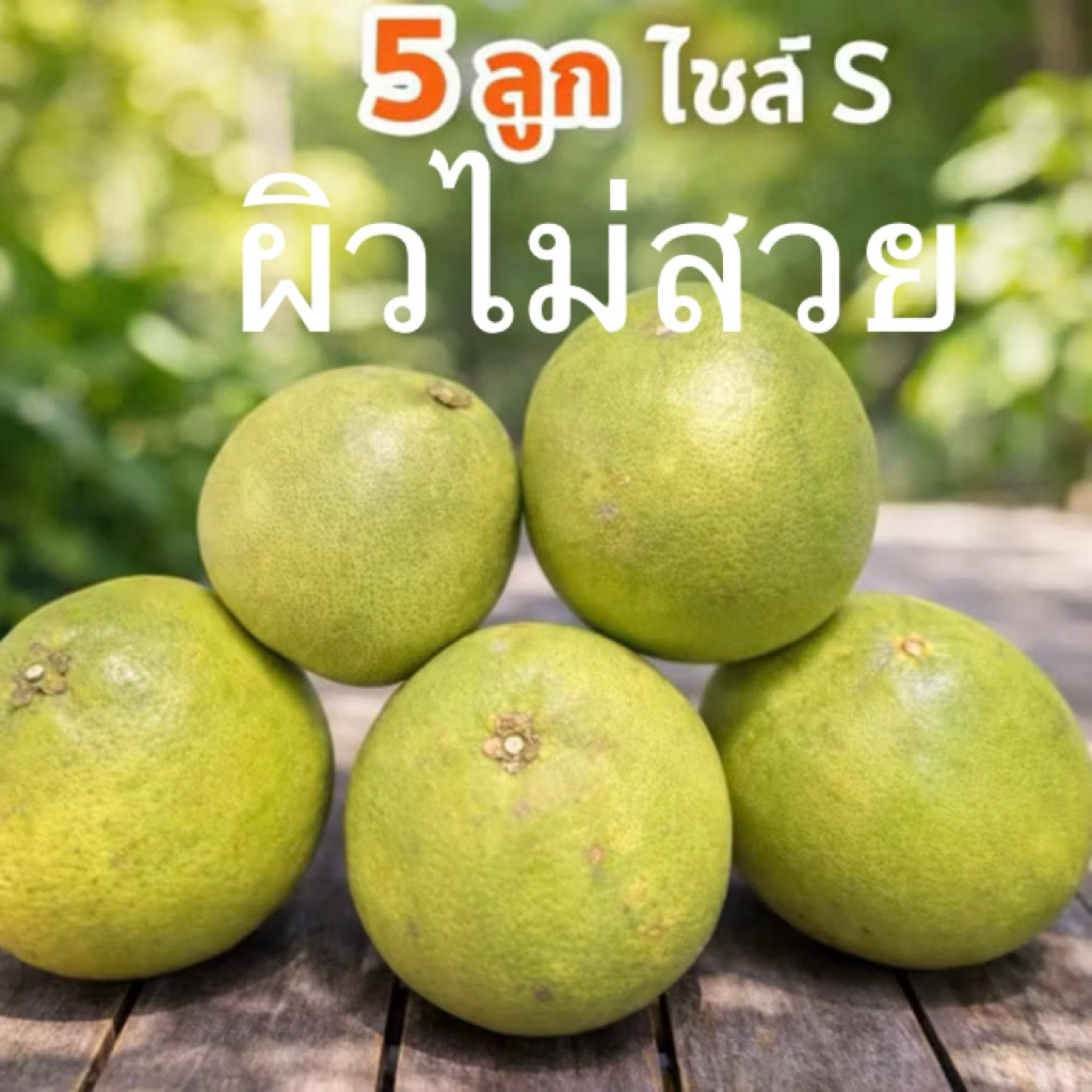 5ลูก ส้มโอ ขนาด S 5ลูก น้ำหนักไม่ต่ำกว่า2.5กิโลกรัม