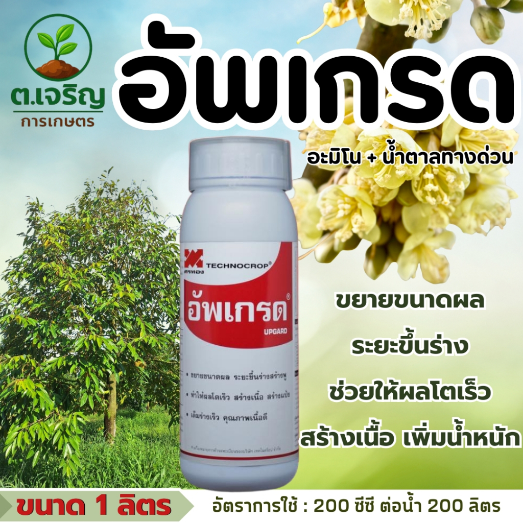 อัพเกรด เทคโนคร็อป ขนาด 1 ลิตร ขยายขนาดผล ทำให้ผลโตเร็ว พ่นก่อนเก็บเกี่ยว สร้างเนื้อ เพิ่มน้ำหนัก