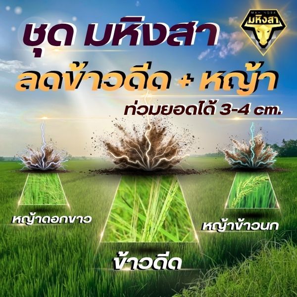 ชุดมหิงสา ลดข้าวดีดบวกหญ้า ท่วมยอดได้ 3-4 ซม.ใบแคบใบกว้าง เอาอยู่หมด ทำงานแบบ 2 ระบบ