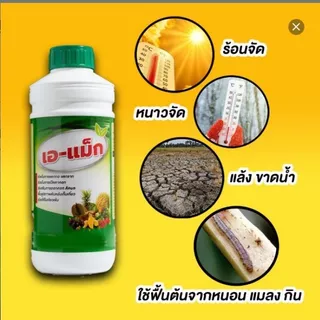 เอ-แม็ก (A-Max) อาหารเสริมพืช สูตรเข้มข้น ช่วยพืชแตกกอ แตกราก ฟื้นต้นหลังเก็บเกี่ยว