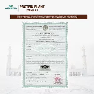 WISAMIN Plant Protein แพลนท์โปรตีน สูตร 1 | 900g (2LB) 10 รสชาติ | โปรตีนพืช ออแกร์นิก | ฮาลาล | ปลอดกลูเตน | Non-GMO