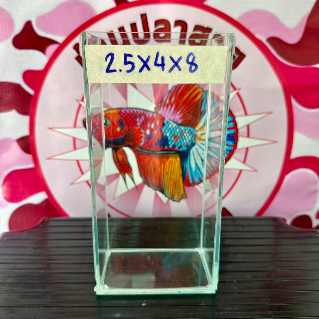 โหลปลากัด ขนาด2.5x4x8นิ้ว หนา3มิล กาวใส