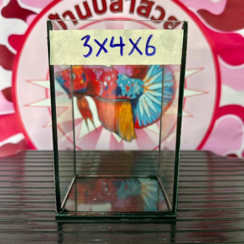 โหลปลากัด ขนาด 3x4x6 นิ้ว หนา 3 มิล กาวดำ