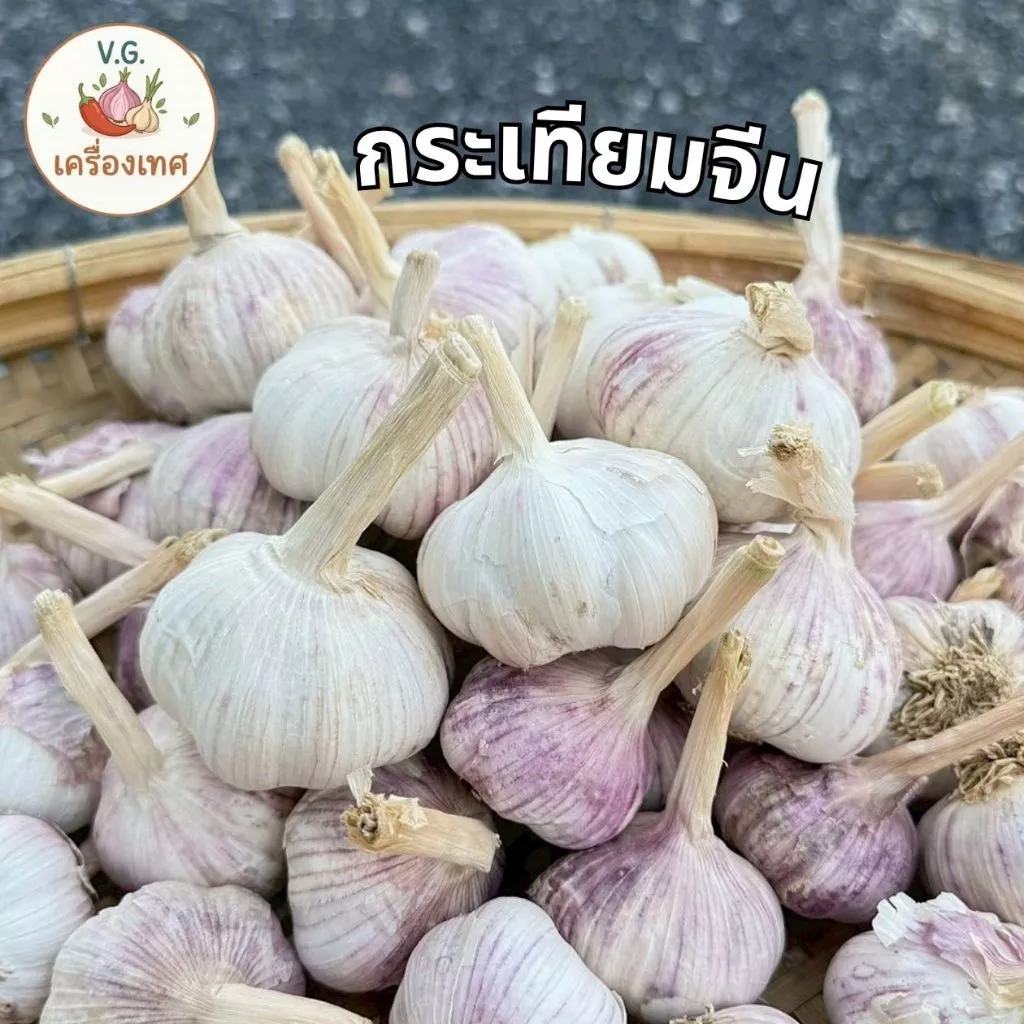 กระเทียมจีน ไซส์ใหญ่ หัวสวย ขาวแน่น ส่งตรงจากตลาดไท