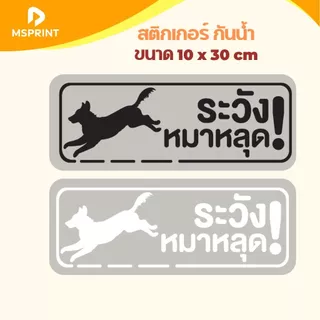 สติกเกอร์ เตือน ระวังหมาหลุด ระวังแมวแง๊น ระวังแมววิ่ง ขนาด 10*30 ซม ติดประตู กระจก PVC กันน้ำ