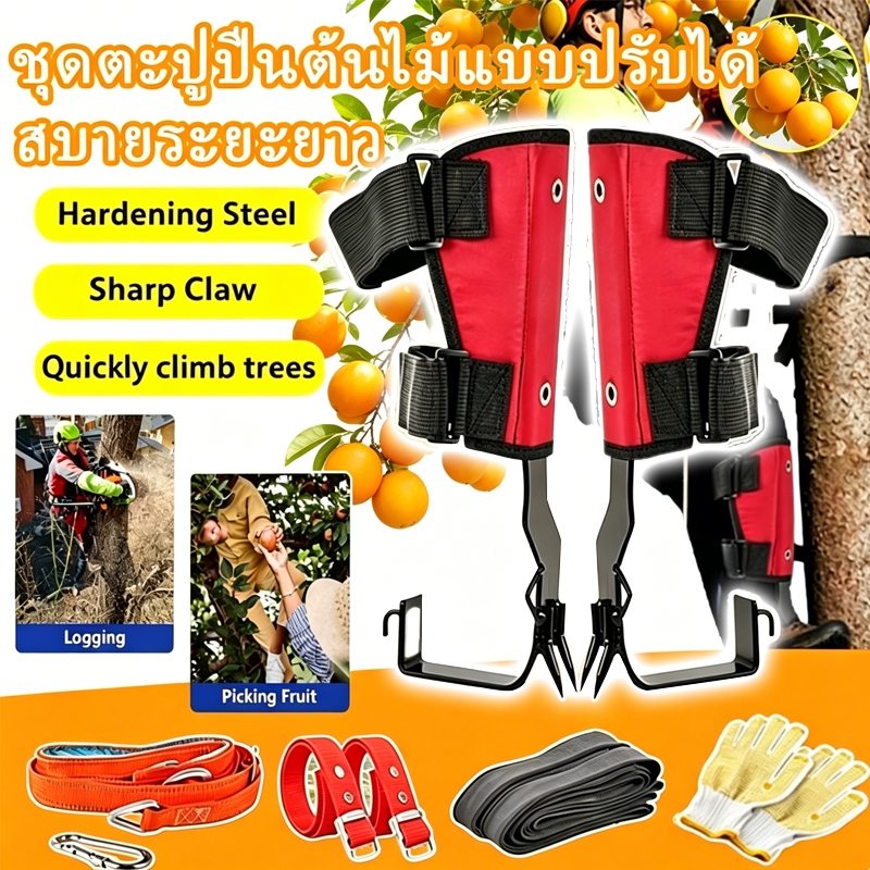 อุปกรณ์ปีนต้นไม้  ตะขอคู่สเตนเลส ที่ปีนต้นไม้ ​​ปลอดภัยมากขึ้น​ ให้  สําหรับการเก็บผลไม้อุปกรณ์ปีนต้นไม้ เข็มขัดเซฟตี้