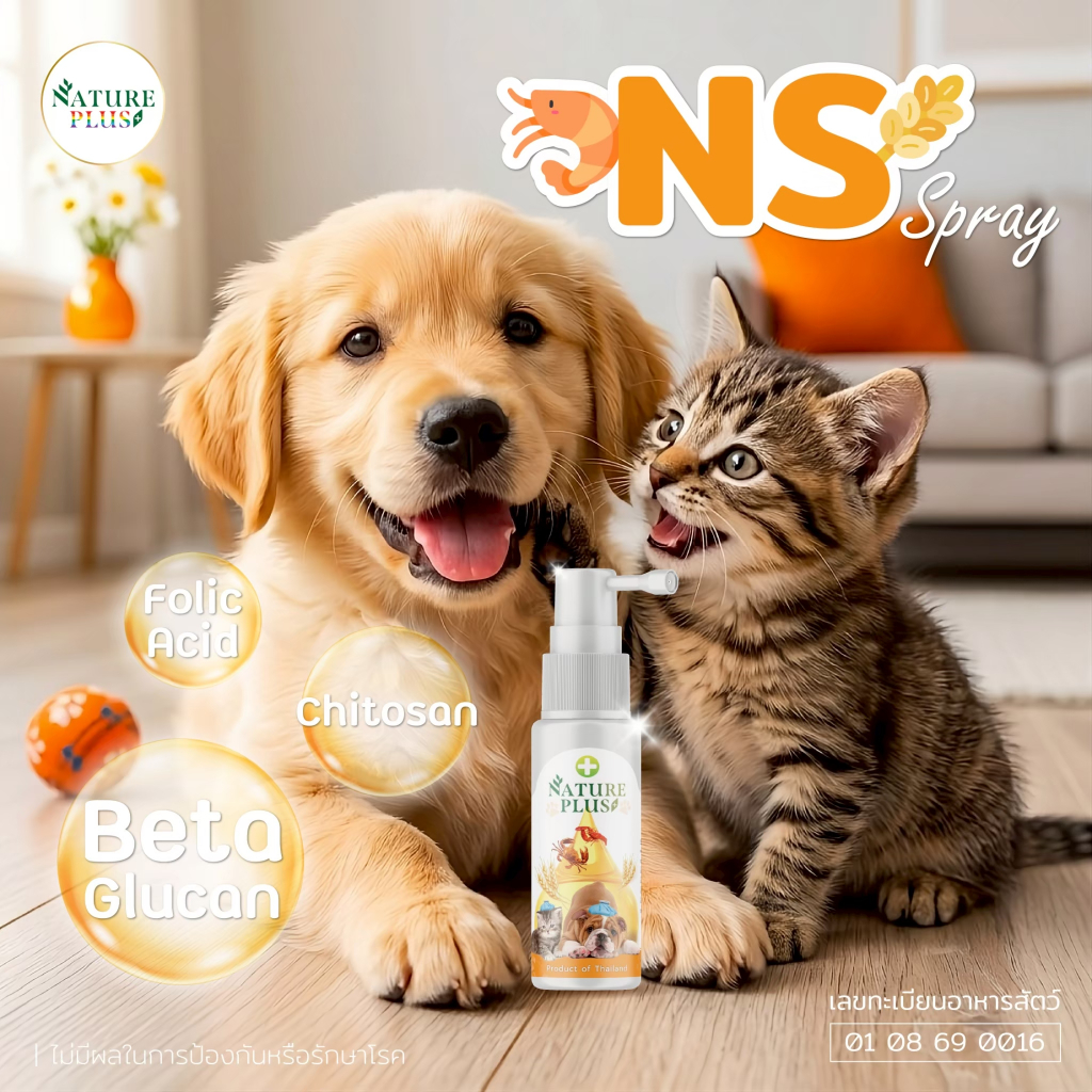 🧡 สเปรย์เสริมภูมิคุ้มกัน ขวดส้ม สินค้าขายดี✨ ป้องกันแผลในปาก เหงือกบวม ภูมิคุ้มกันต่ำ 🐶🐱