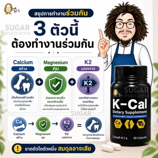 Kcal Paa K-Cal vitamin K2-MK7, Calcium and Magnesium หมอนอกกะลา สันติมาน่ะดี ป๋าสันติมานะดี santimanadee