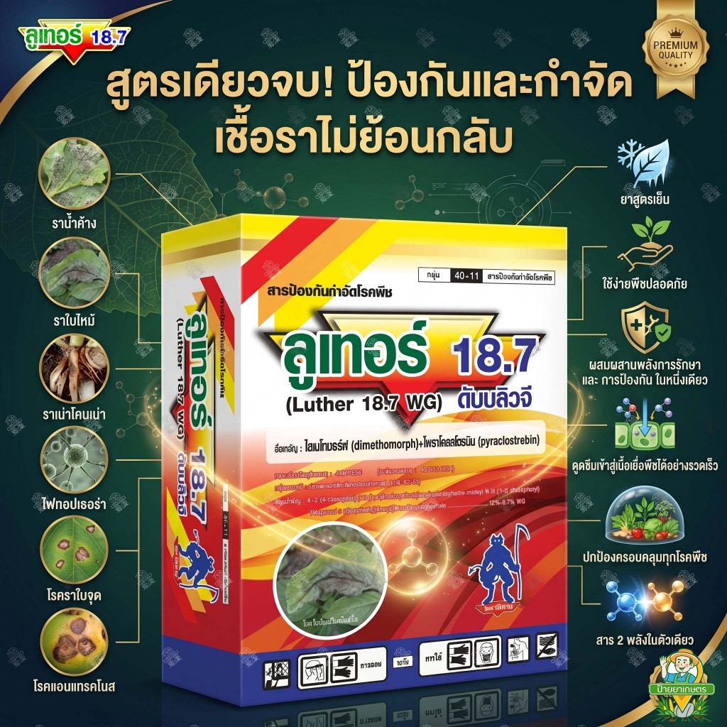 ลูเทอร์ 18.7 (1 กิโลกรัม) ยาเย็น ไดเมโทมอร์ฟ + ไพราโคลสโตรบิน โรคเน่า ใบไหม้ ใบจุด ราน้ำค้าง รากเน่า