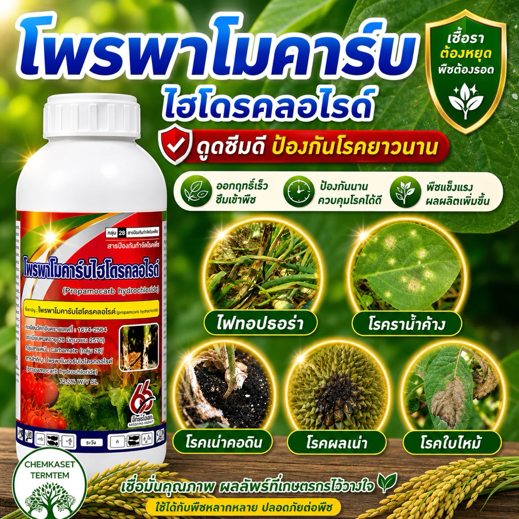 สารโพรพาโมคาร์บ ไฮโดรคลอไรด์72.2%ป้องกันกำจัดเชื้อรา โดยเฉพาะเชื้อไฟทอปธอร่า โรครากเน่า โคนเน่า
