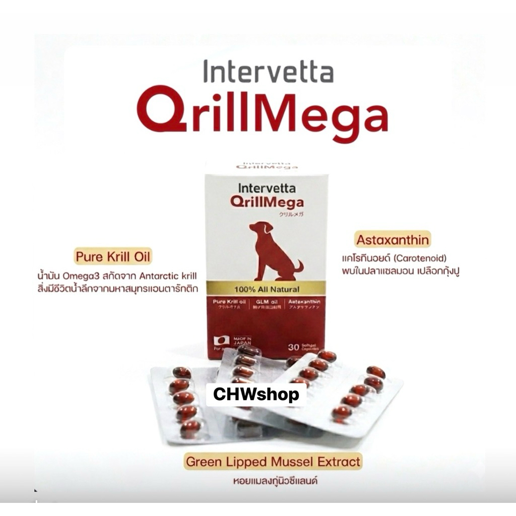 Qrill Mega อาหารเสริม บำรุงข้อสุนัข สุนัขปวดข้อ Joint Support