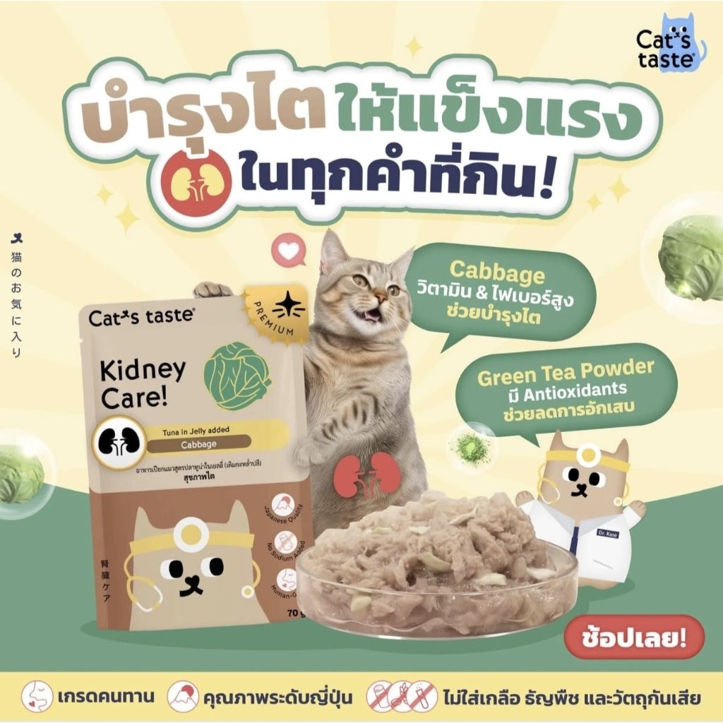 Cat's Taste Healthy [ยกลัง 48 ซอง] อาหารเปียกแมว แคทเทสต์ ไม่เติมเกลือ ขนาด 70 กรัม
