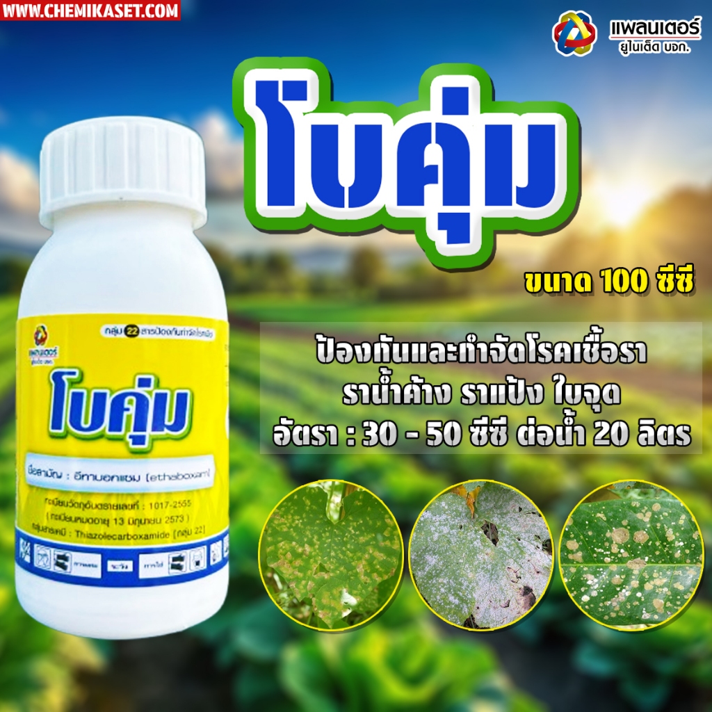 โบคุ่ม ขนาด100 ซีซี อีทาบ๊อกแซม ยาเชื้อรา ไม้ใบ ไม้ด่าง ใบไม่ไหม้ ราน้ำค้าง ราสนิม รากเน่า โคนเน่า