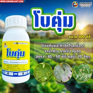 โบคุ่ม ขนาด100 ซีซี อีทาบ๊อกแซม ยาเชื้อรา ไม้ใบ ไม้ด่าง ใบไม่ไหม้ ราน้ำค้าง ราสนิม รากเน่า โคนเน่า