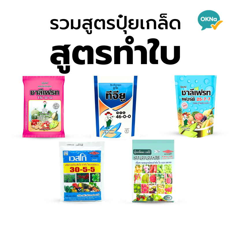 ปุ๋ยเกล็ดสูตรทำใบ แนนซี่ ชาลีเฟรช เวสโก้ ยูเรีย 46-0-0,30-10-10,30-5-5,25-7-7,21-21-21 และ 15-0-0