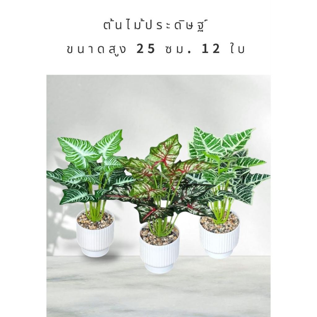 ต้นไม้ประดิษฐ์พร้อมกระถาง ขนาดเล็ก ตกแต่งโต๊ะทำงาน ต้นไม้มงคล ต้นไม้ปลอม ต้นบอนสี ต้นมอนสเตอร่า ต้นไม้ตกแต่ง