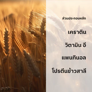 แชมพู & ครีมนวดผมชี้ฟู ผสมเคราติน Thanks to Nature Smooth & Control ผมเรียบสวย พกพาง่าย 75ml (Mini)