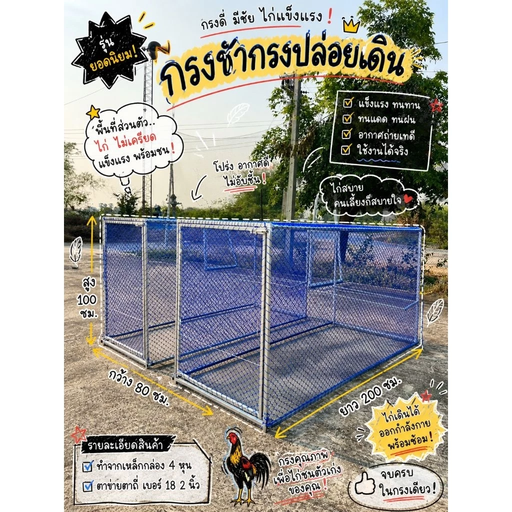 (สินค้าเหล็กกล่อง)กรงชำไก่ชน,ปล่อยเดินได้ 80 * 100 * 200 cm thumbnail 3