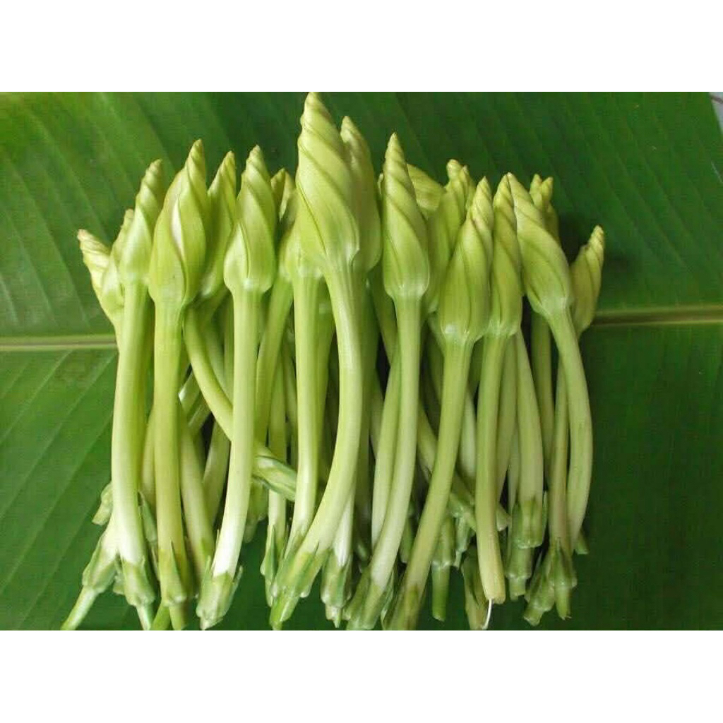 ดอกชมจันทร์เก็บสด🌱ออแกนิค(บรรจุ50/100กรัม)