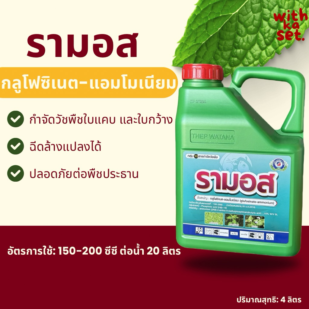 รามอส (กลูโฟซิเนต+แอมโมเนีย) 4 ลิตร ฉีดล้างแปลง ได้ทุกหญ้า ใบแคบใบกว้าง ไม่ต้องบวกตัวอื่นเพิ่ม