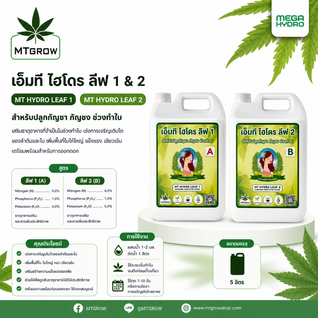 MT HYDRO LEAF ปุ๋ย AB สูตรทำใบ 5 ลิตร ใช้ได้ทั้งดินและระบบไฮโดรโปนิกส์ ใบเขียวแข็งแรง ธาตุอาหารครบ