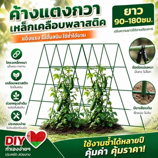 ไม้ค้ำต้นไม้ DIY ยาว90-180ซม. หนา11/16มม. โครงปลูกผัก เหล็กเคลือบพลาส ค้างไม้เลื้อย ตาข่ายไม้