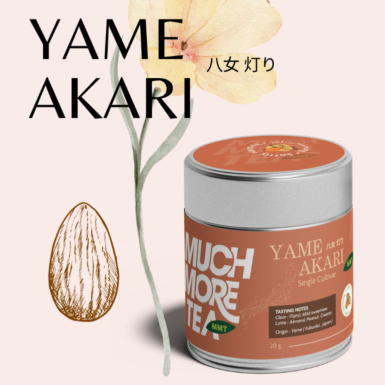 YAME AKARI l FUKUOKA l MUCHMORETEA l MATCHA
