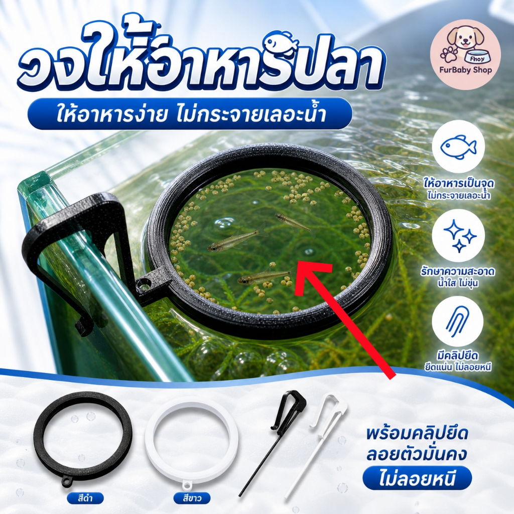 【FurBaby】พร้อมส่ง COD วงแหวนให้อาหารปลาสวยงาม ที่กั้นอาหารปลา กันอาหารฟุ้งกระจาย วงกลมให้อาหาร อุปกรณ์ตู้ปลาปลาทองCW-038
