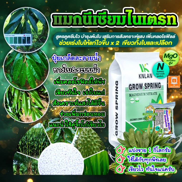 แม่ปุ๋ย 10-0-0 แมกนีเซียมไนเตรท (1Kg) ปุ๋ยเกล็ด ปุ๋ยทางใบ ช่วยให้ใบเขียว แตกใบอ่อน แตกกอ บำรุงต้น