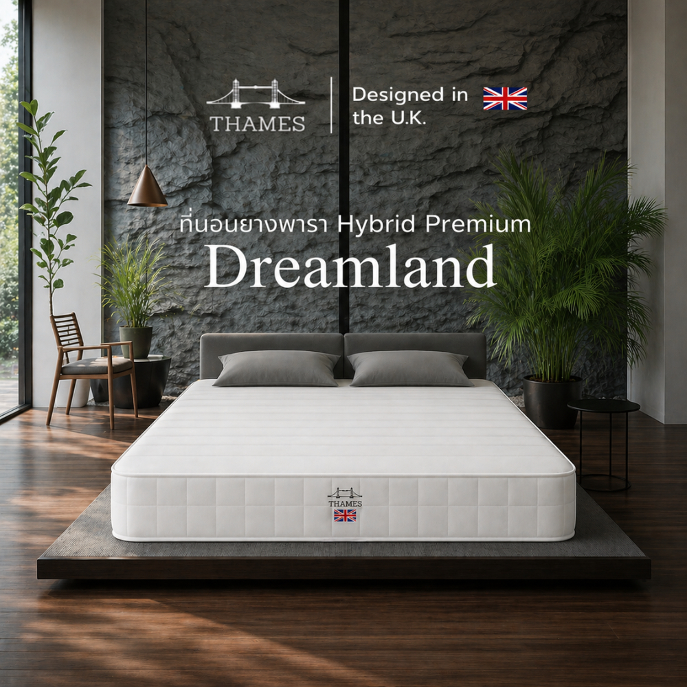 Thames ที่นอนยางพารา หนา 6 นิ้ว รุ่น Dreamland ไม่ยุบแน่นอน แก้ปวดหลัง แก้ปวดเมื่อย
