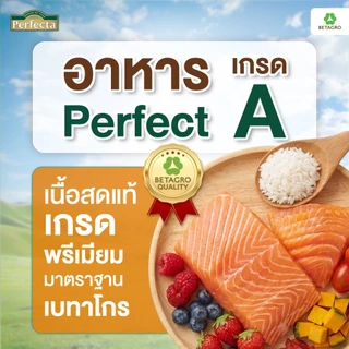 Perfecta อาหารสุนัข เกรดพรีเมี่ยม สุนัขโต พันธุ์เล็ก 1 ปี ขึ้นไป สูตรแซลมอน เนื้อสดแท้ Human grade ขนาด 3 กก.